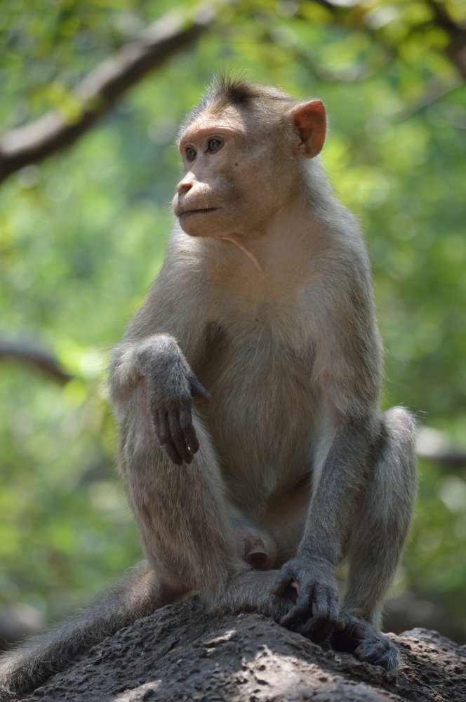 Photograph by Андрей Усов