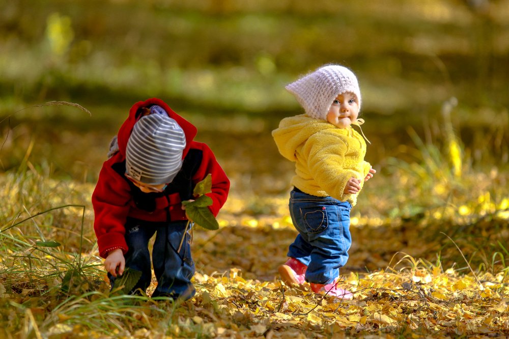 Первые шаги и первая осень