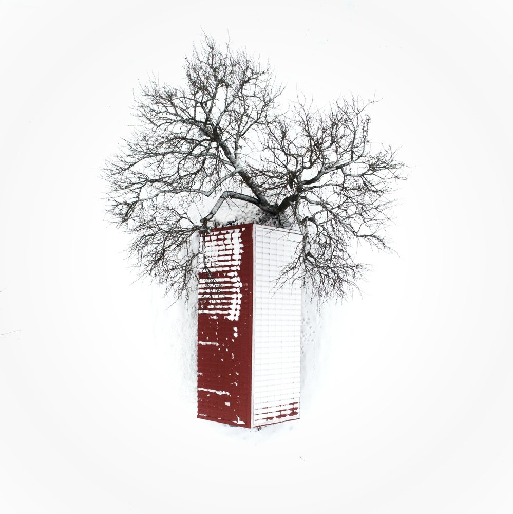 Photograph by Saulius Zaura