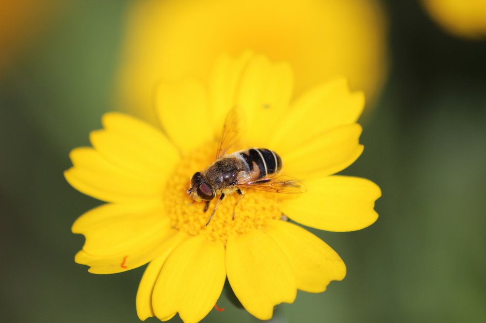 Photograph by Евгения Тарасова