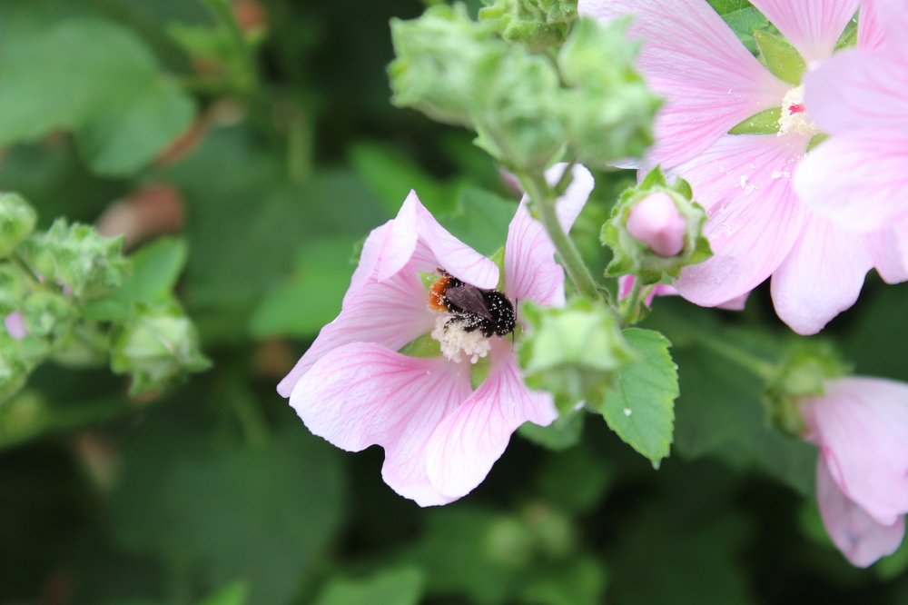 Photograph by Евгения Тарасова