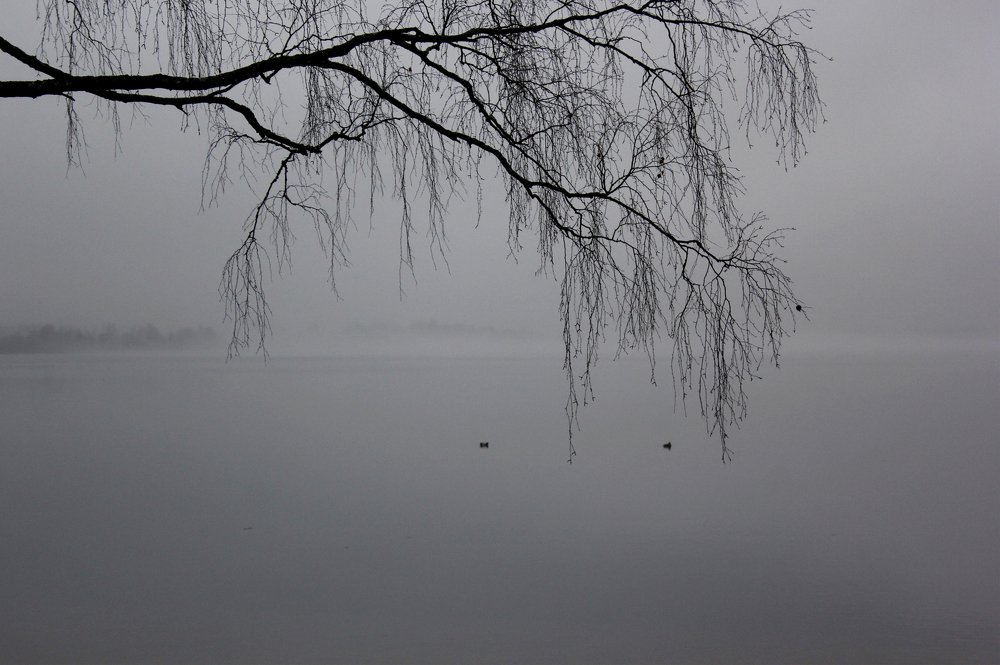 Photograph by Светлана Зыгмантович