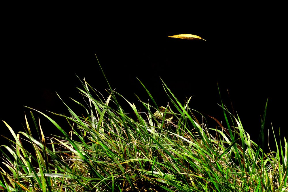 Photograph by Alexey Smal