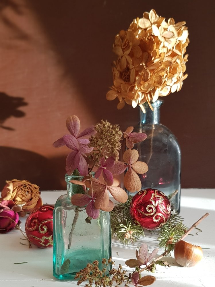 Photograph by Людмила Шатерникова