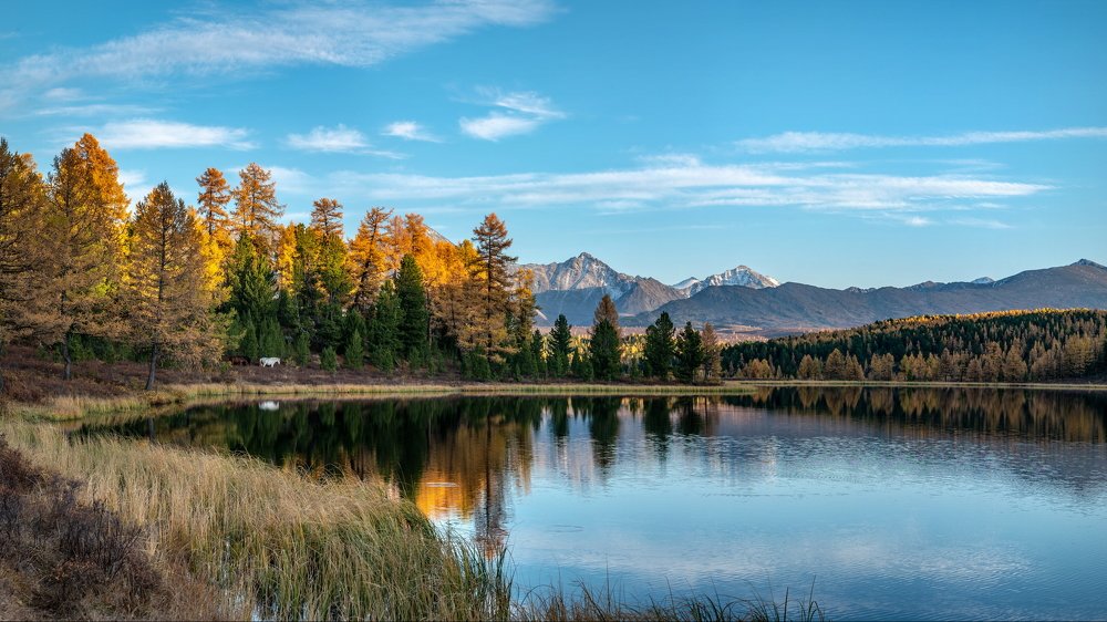 Вечер на Киделю.
