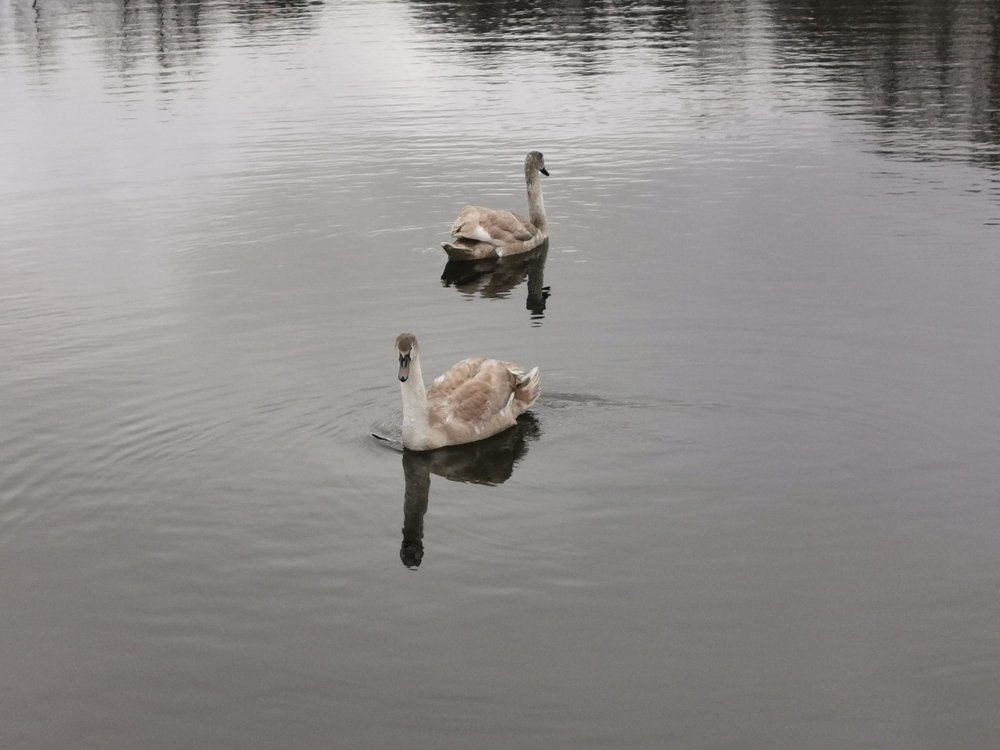 Photograph by Рутковская Жанна