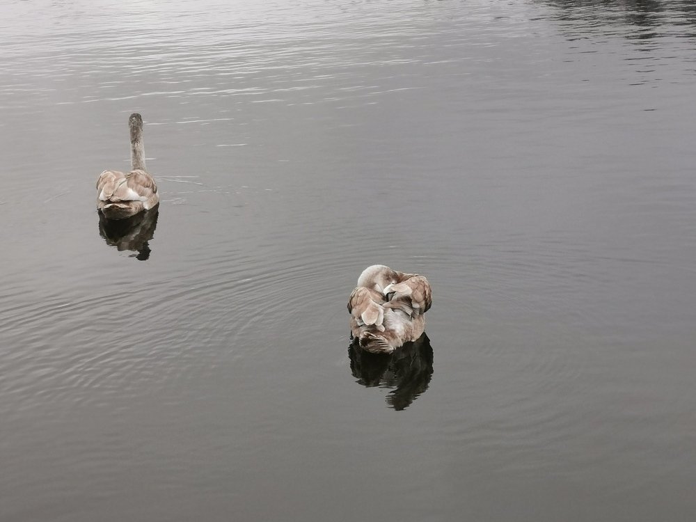 Photograph by Рутковская Жанна