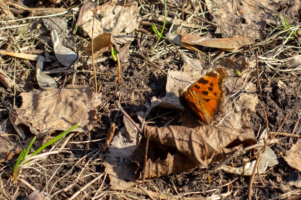 Photograph by Павел Жданов