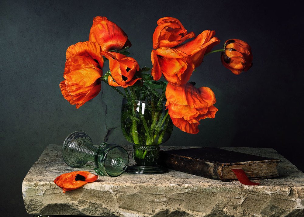 Photograph by Виктор Бриг