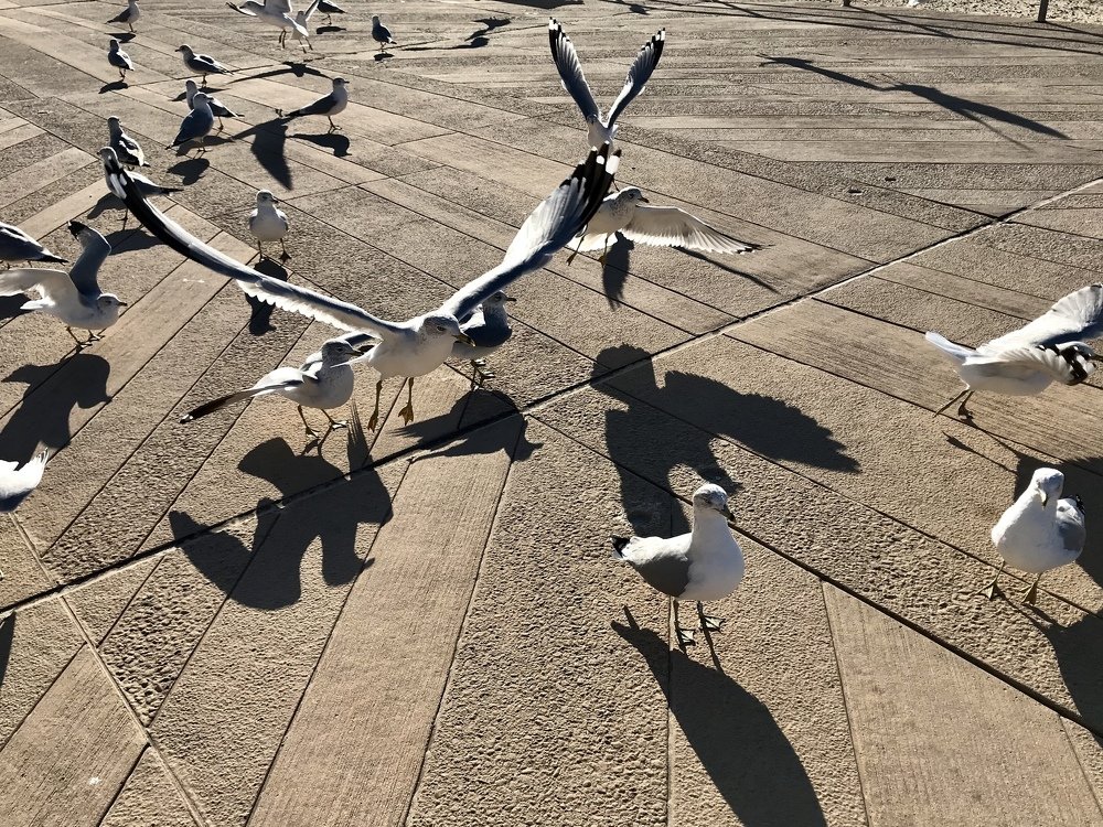 На набережной Атлантики.