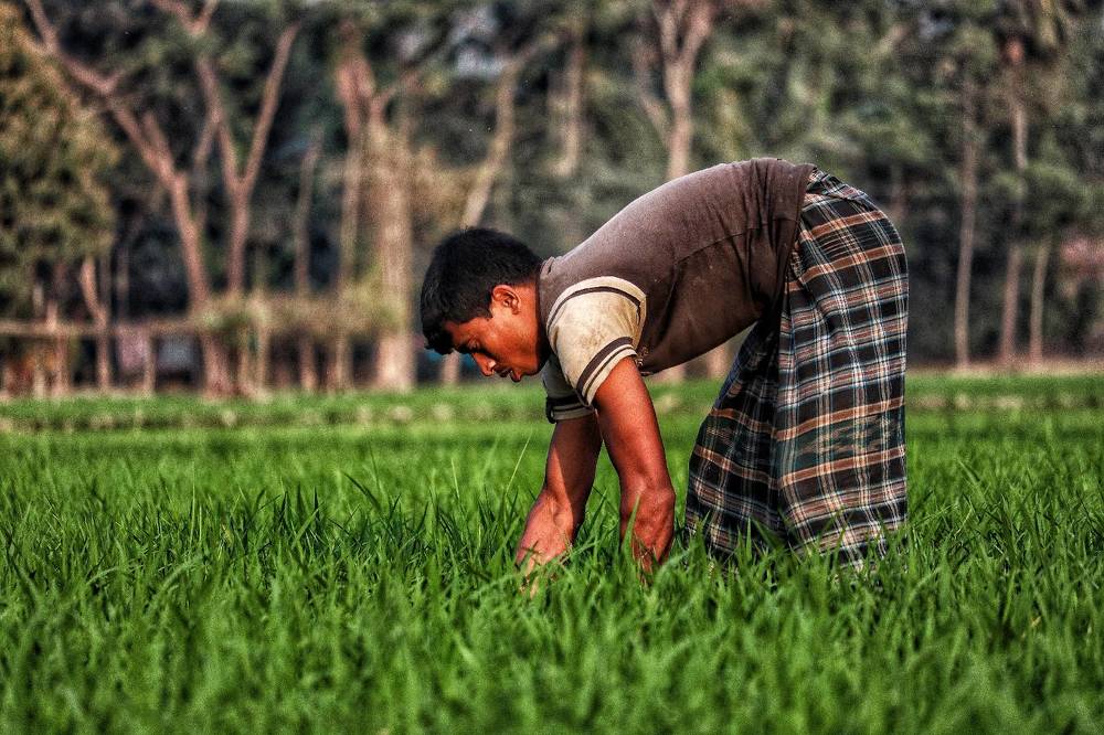 Photograph by Shadman Sakib Sadvi