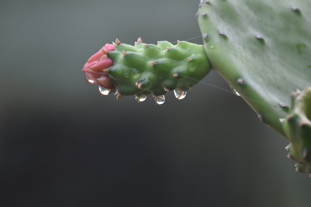 Photograph by Alberto Ortiz