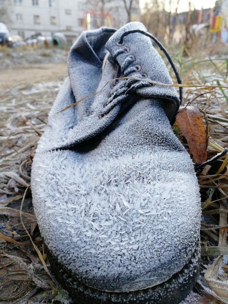 Photograph by Ирина