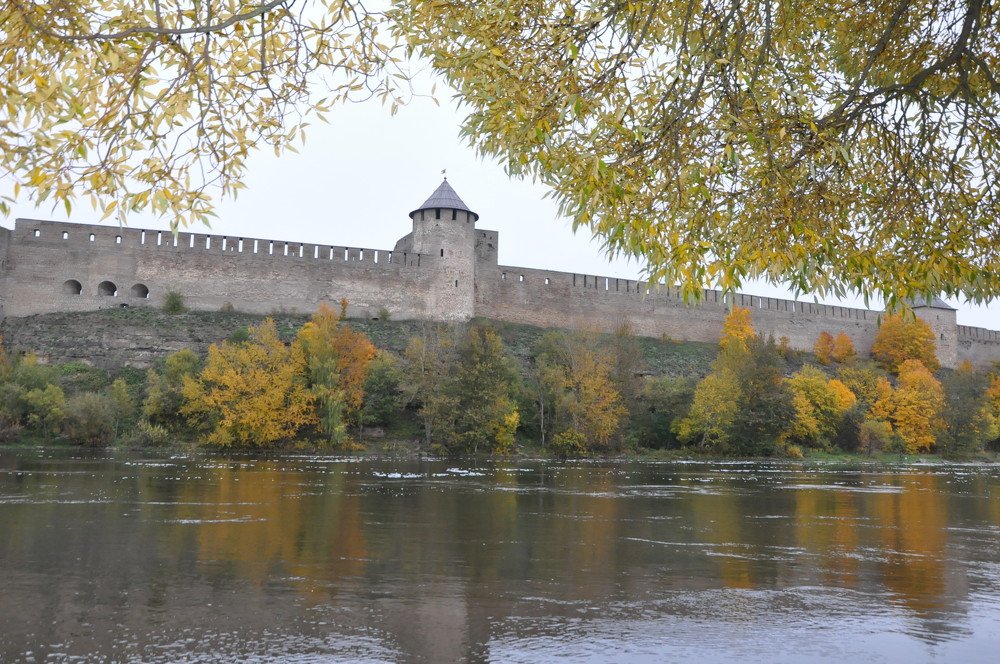 Photograph by Алина Голубева