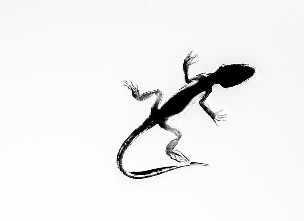 Photograph by Fargana Gasimli