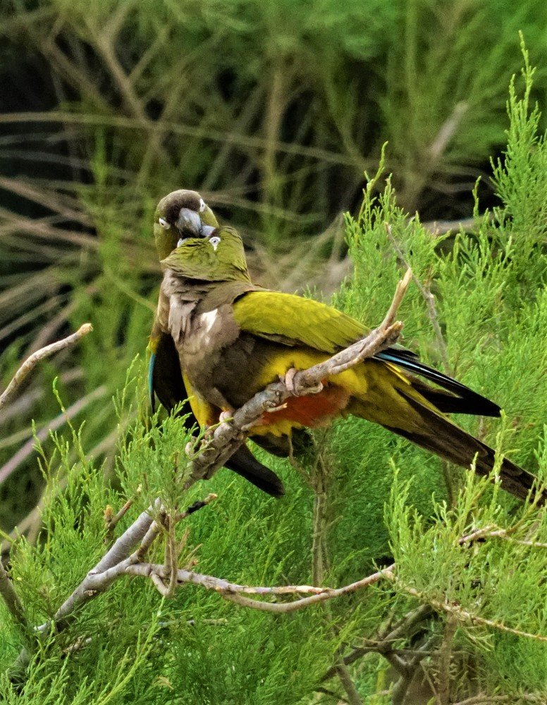 Photograph by Karina Elena Bergagna