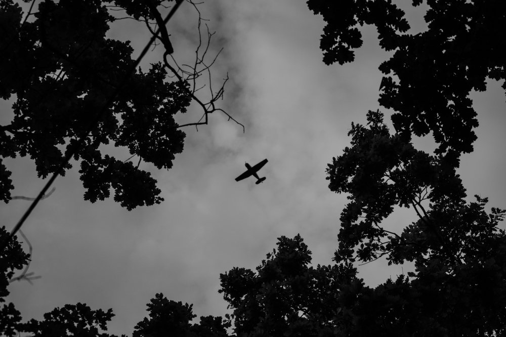 Фотография автора Алексей Боровик