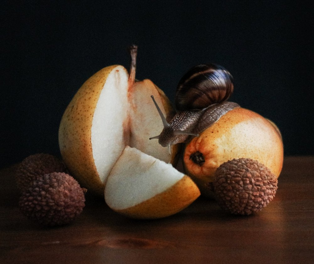 Натюрморт с личи и улиткой.