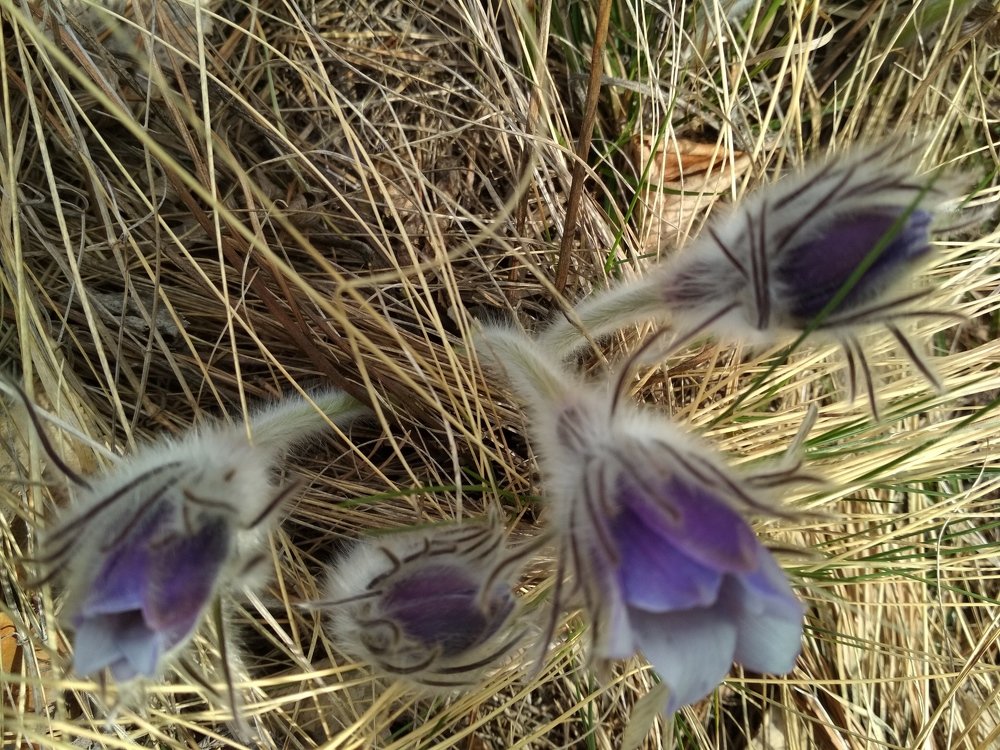 Photograph by Елена Белолипцева