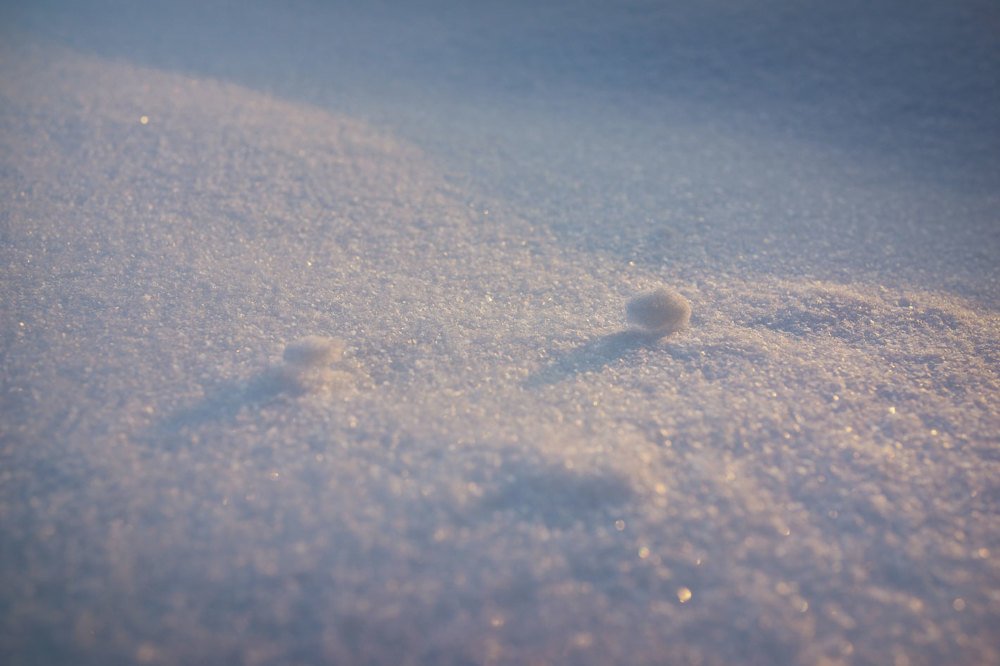 Photograph by Андрей