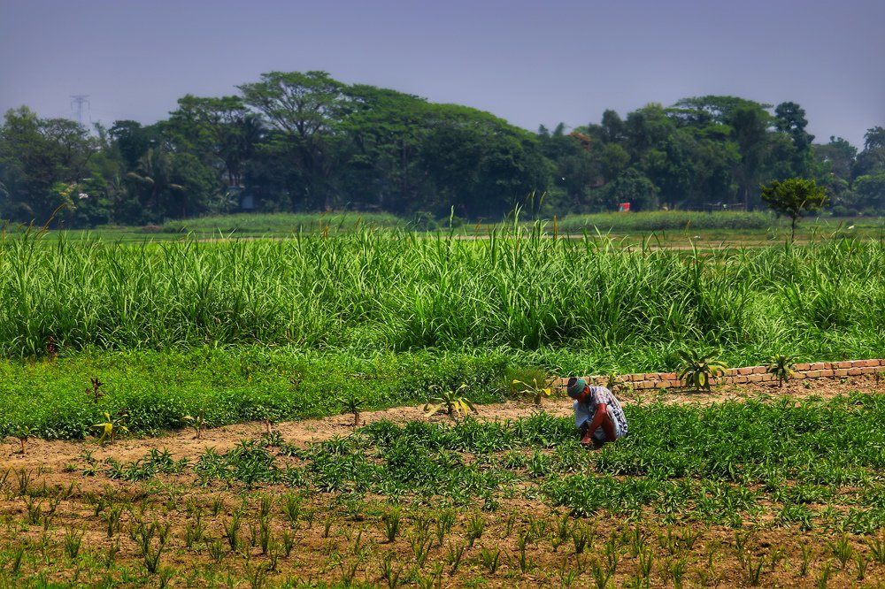 Photograph by Shadman Sakib Sadvi