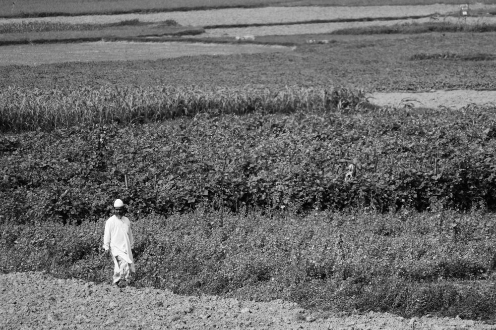 Photograph by Shadman Sakib Sadvi