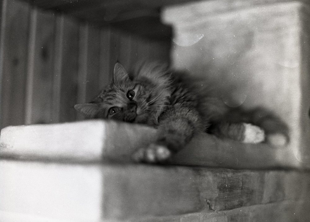 Фотография автора Илья Глобин