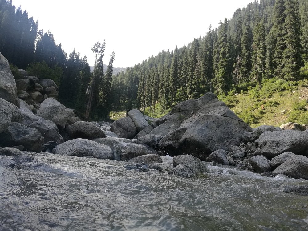 Photograph by Muhammad Naeem