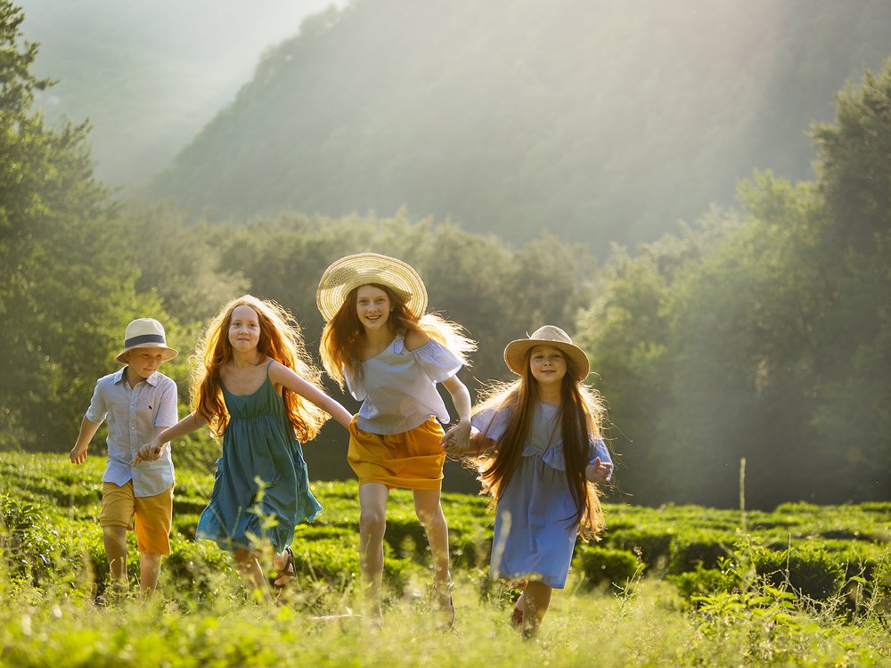 Рыжики в  чае