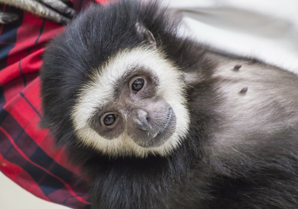 Photograph by галина новинская