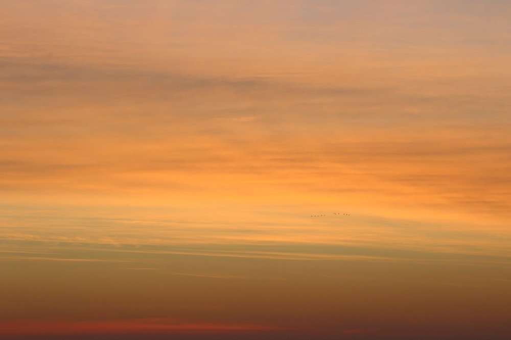 Photograph by Eduard Mezker