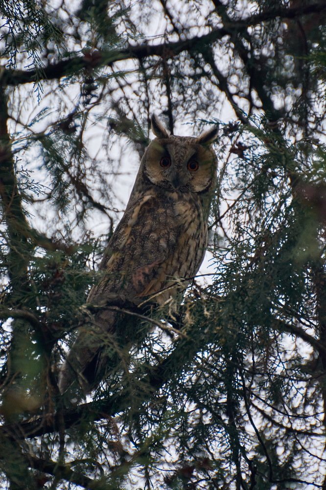 Photograph by Yaroslav