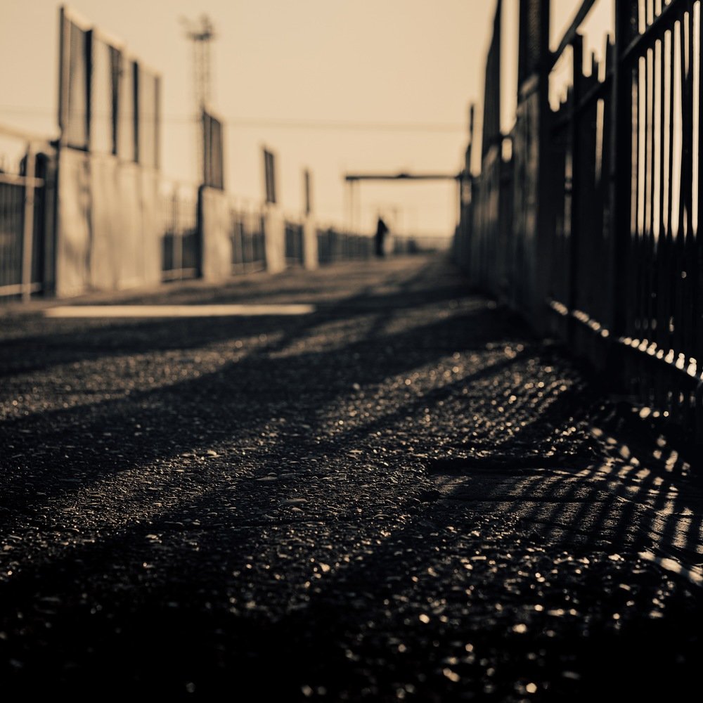 Photograph by Александр Дудин