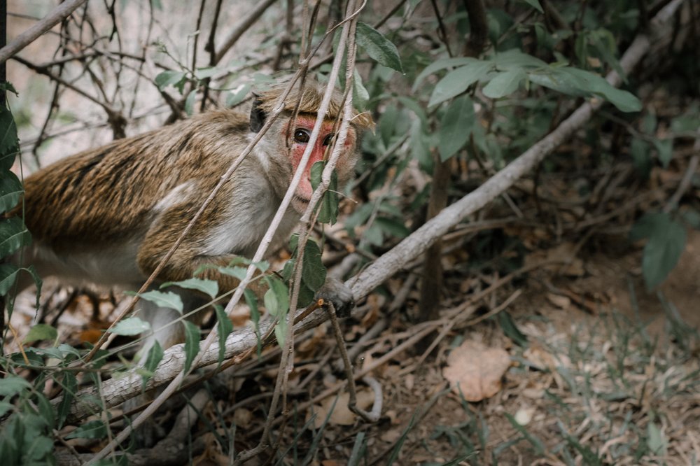 Меня обнаружили
