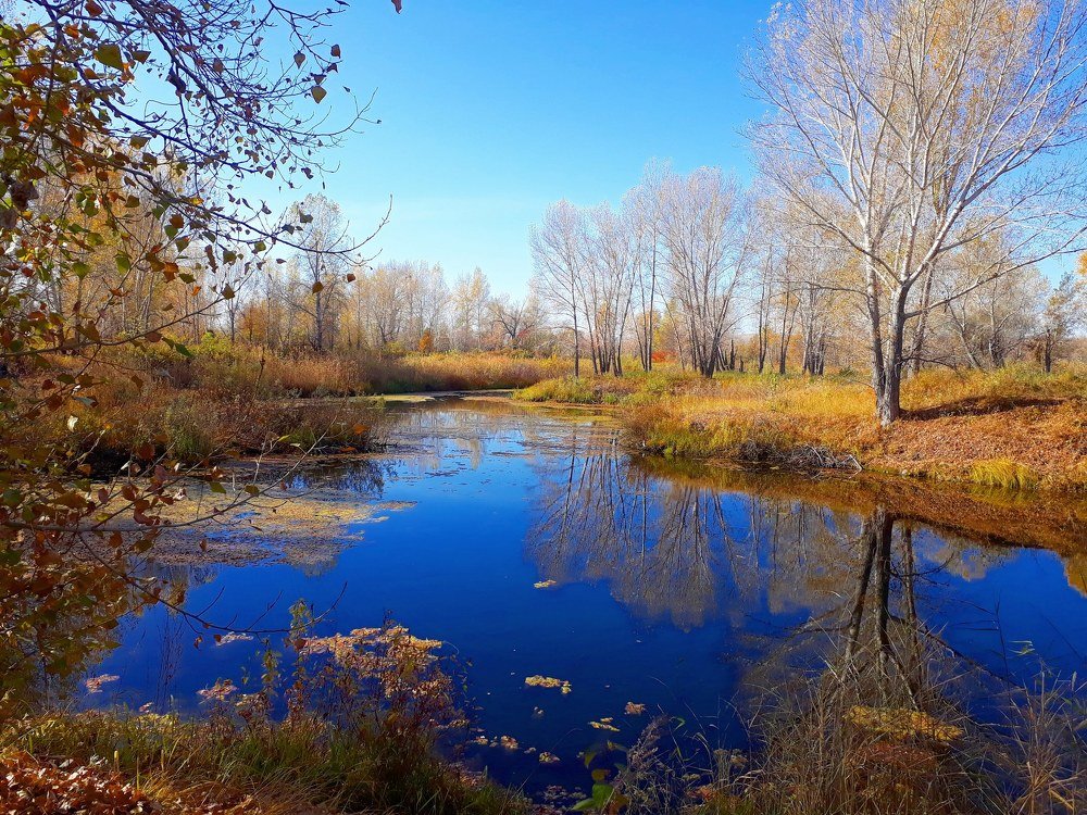 осенний пруд