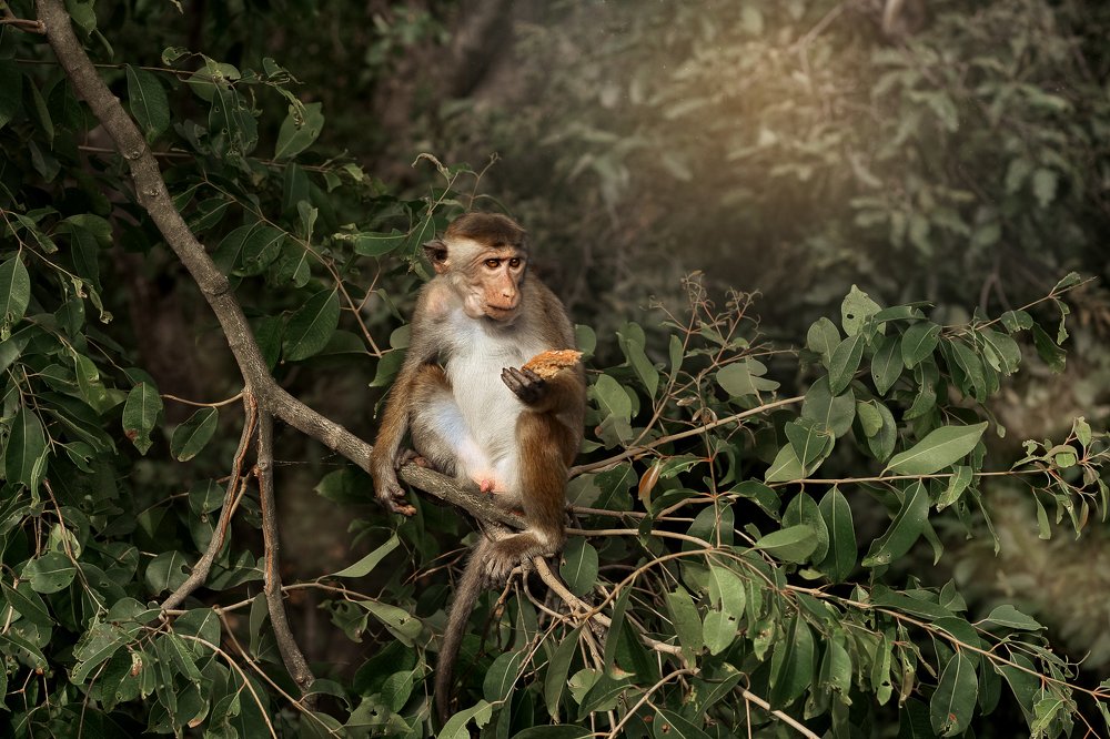 Вкусный бублик