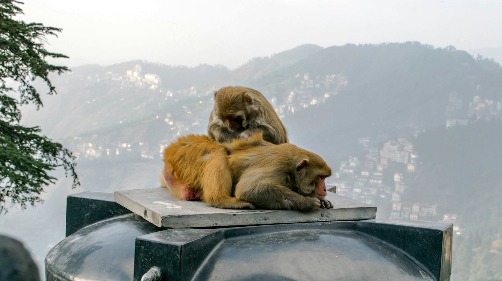 Photograph by Satyaki Acharya
