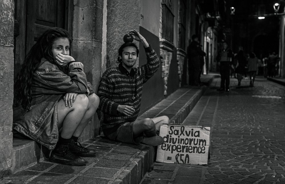 Divinorum experience