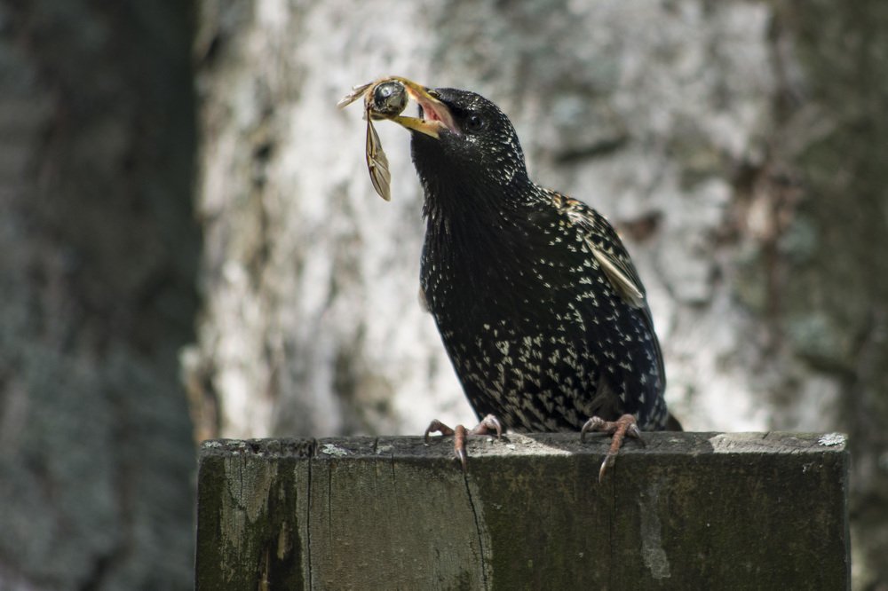 Photograph by Marina Lucenko