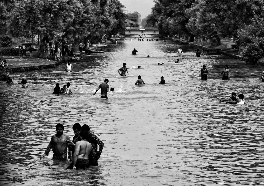 Photograph by M Y Dogar