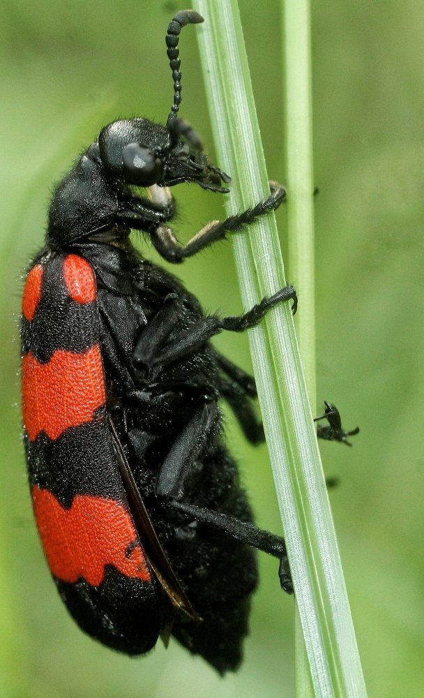 Photograph by M Y Dogar