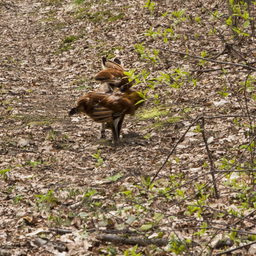 Вот так встреча!
