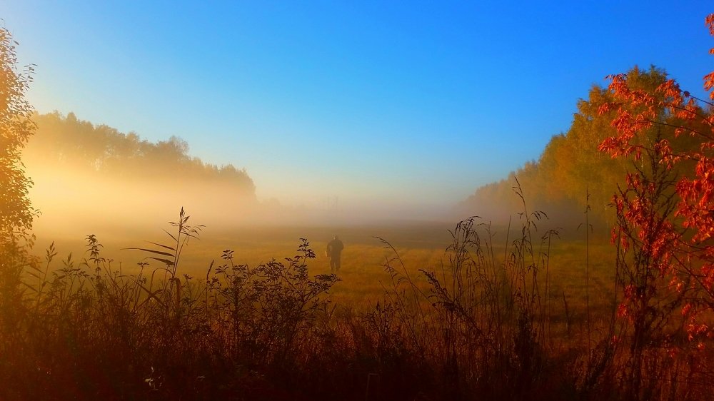 Лучи осеннего солнца