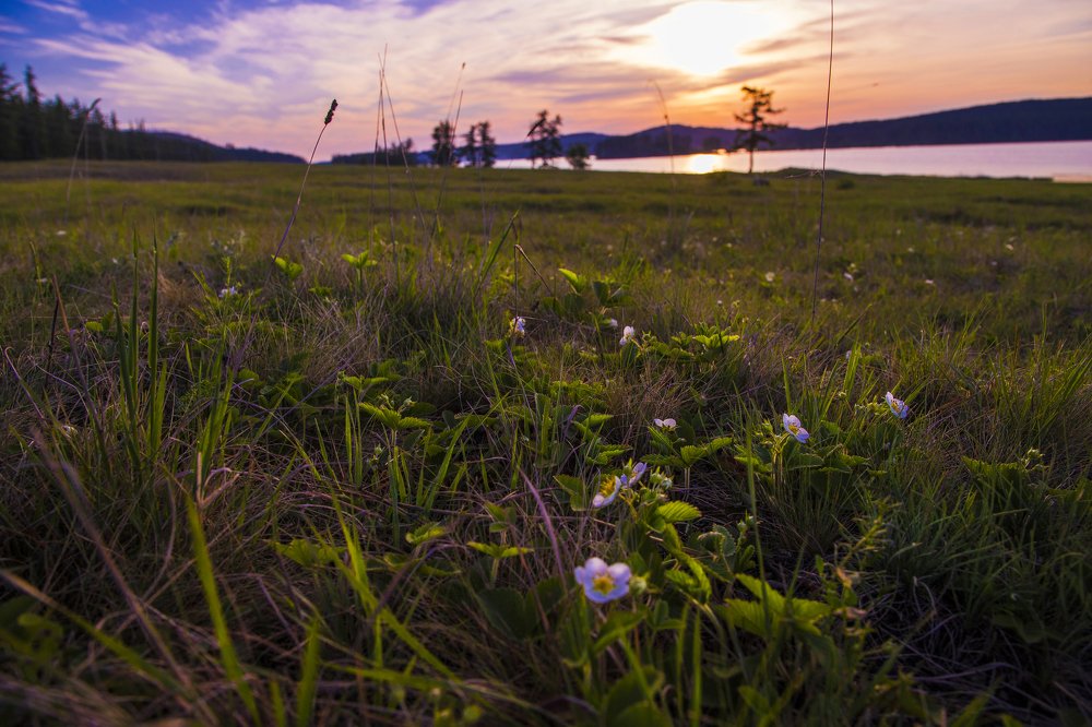 Фотография автора Лариса Корсакова
