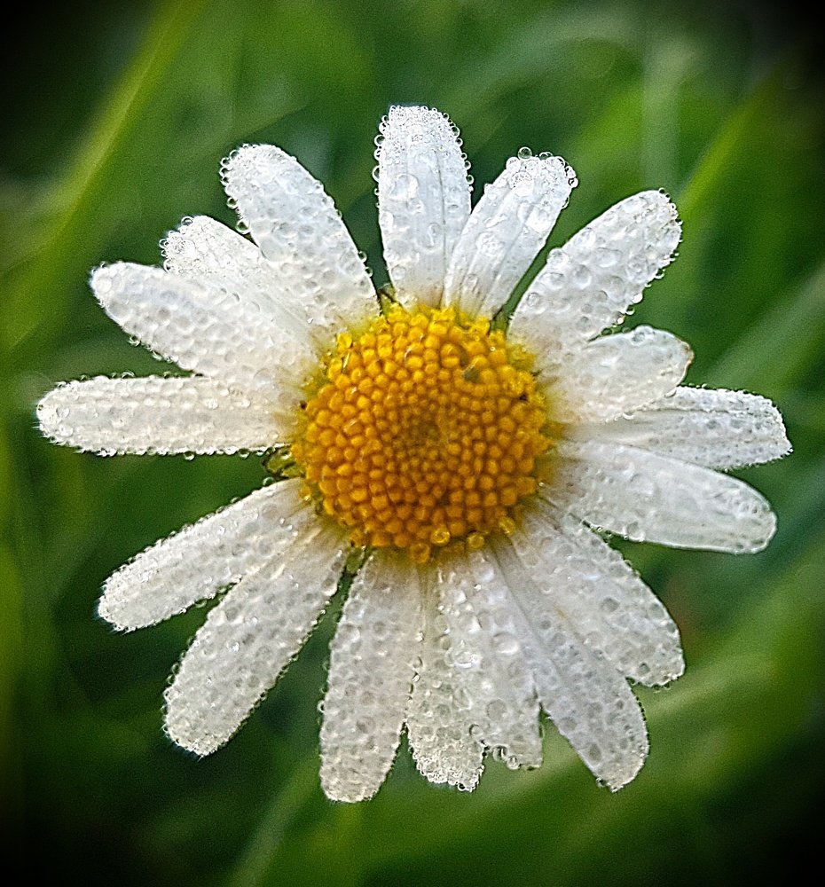 Photograph by Mojca Rebol