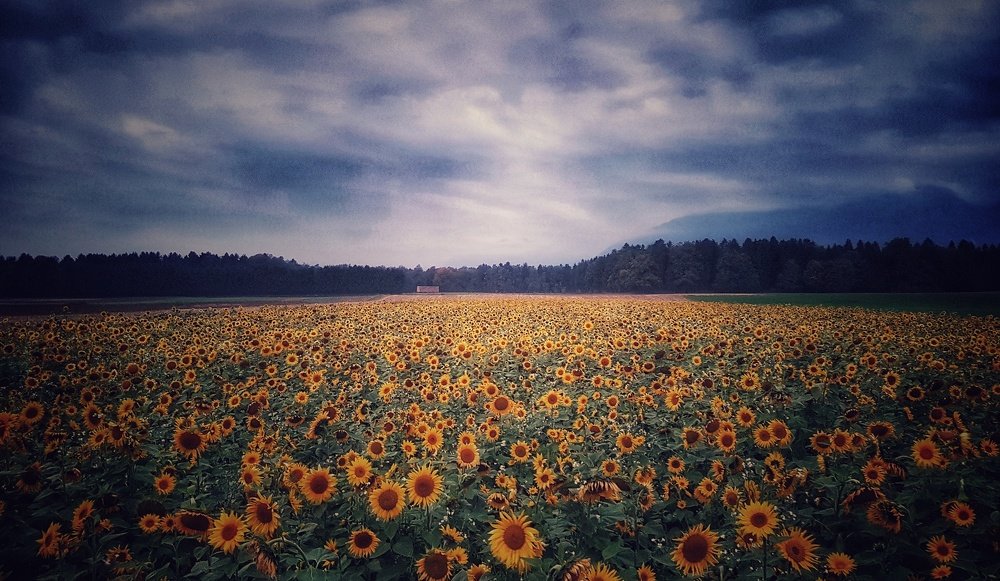 Photograph by Mojca Rebol