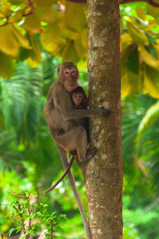 С мамой не страшно