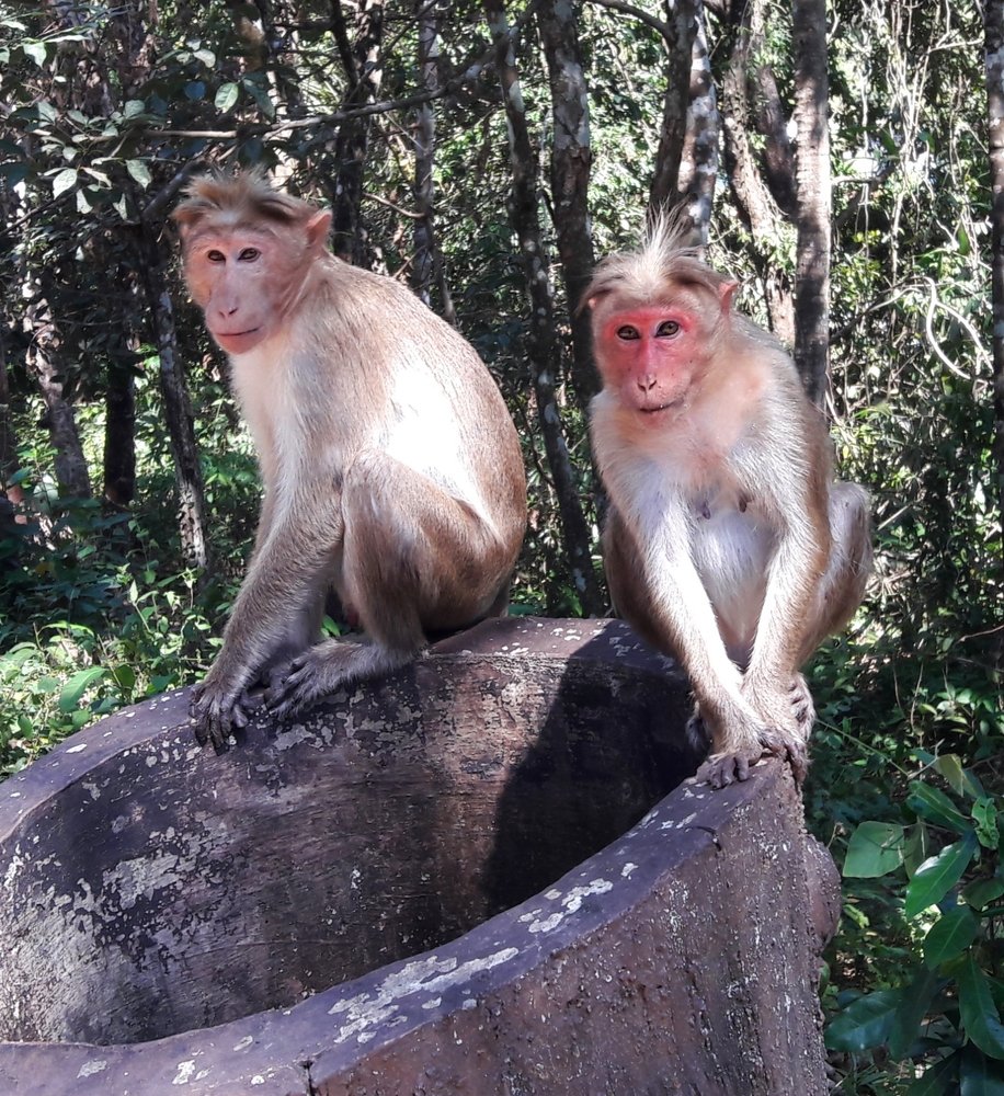 Photograph by  Reena