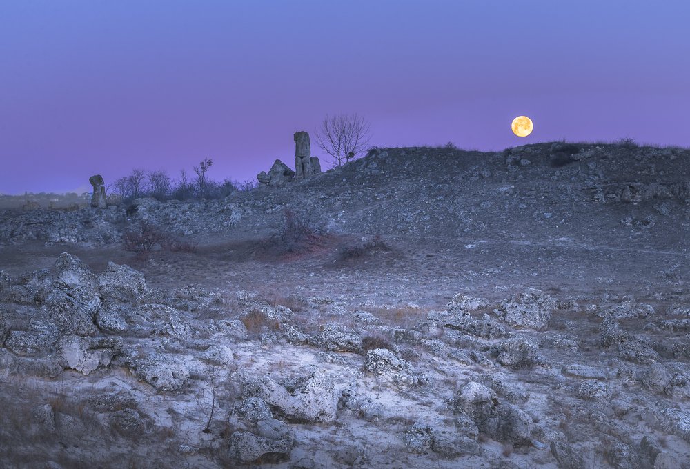 Фотография автора stoyan pavlov