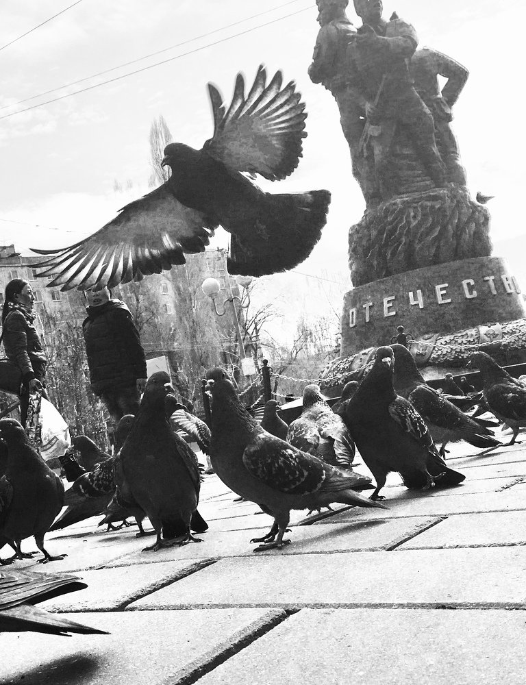 Photograph by Анастасия Рызлеева